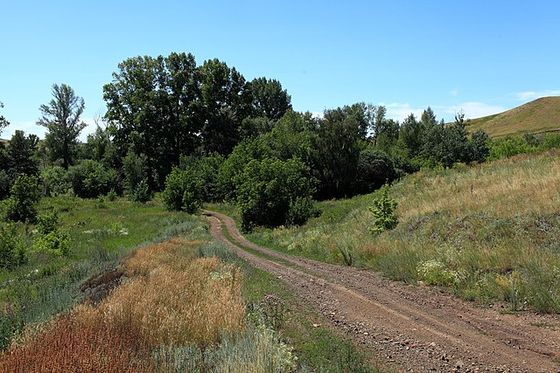 Воспитанники центра 